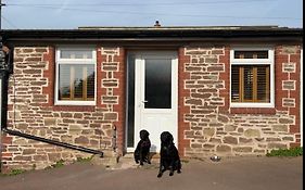 The Netherend Inn - Pet Friendly Haven